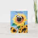 Pesquisar por pug cartoes Obrigado