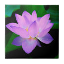 Pesquisar por flor lotus de azulejos Para todos