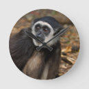 Pesquisar por gallo relogios de parede Animal