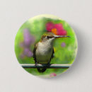 Pesquisar por do colibri botons Colibris