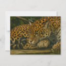 Pesquisar por jaguar cartoes postais Animal selvagem
