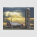 Pesquisar por sol papeis de seda Para todos