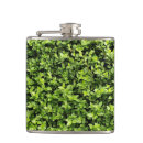 Pesquisar por planta cantis Folhas