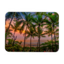 Pesquisar por palmeiras tropicais imas Viagem