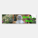 Pesquisar por tzu de shih adesivos carros Shihtzu