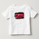 Pesquisar por asteca roupas Americano