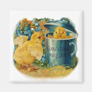 Pesquisar por pintinho amarelo imas Animal