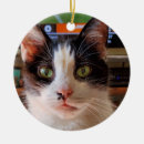 Pesquisar por terno ornamentos Gatinho