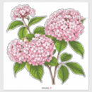 Pesquisar por completo adesivos Rosa