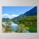 Pesquisar por reflexão pósteres Floresta
