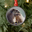 Pesquisar por marmota do marmota ornamentos Animais selvagens