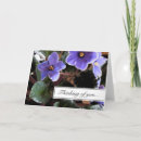 Pesquisar por violetas africanas cartoes Saudação