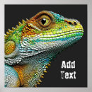 Pesquisar por iguanas pôsteres pósteres Animais