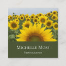 Pesquisar por foto do girassol cartao de visita Fotografia