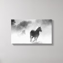 Pesquisar por cavalos selvagens pósteres artes molduras Equitação