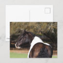 Pesquisar por bob cartoes postais Vanner cigano