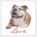 Pesquisar por happy dog adesivos Cães