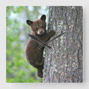 Pesquisar por cubo relogios de parede Fofo