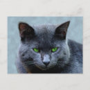 Pesquisar por gato com olhos verdes cartoes postais Arte