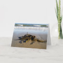 Pesquisar por algas cartoes Praia