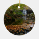 Pesquisar por cachoeira ornamentos Queda