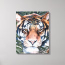 Pesquisar por quadro gatos de impressão de canvas Aquarela