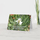 Pesquisar por floral photography White