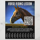 Pesquisar por cavalos flyers Equino