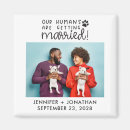 Pesquisar por gato do cão convites Para eles