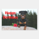 Pesquisar por malandra adesivos Cão