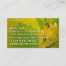 Pesquisar por coração verde cartao de visita Qualquer pessoa