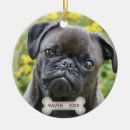 Pesquisar por pug preto ornamentos Animal