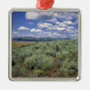 Pesquisar por cama ornamentos Natureza