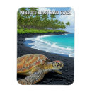 Pesquisar por ilhas havaianas imas Viagem