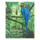 Pesquisar por macaw pôsteres pósteres Arara