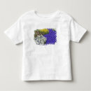 Pesquisar por narciso camisetas Jardim
