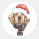 Pesquisar por natal autocolantes Cão