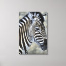 Pesquisar por da zebra impressão impressão de canvas Animais