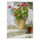 Pesquisar por gerânio vermelho cartoes postais Verão