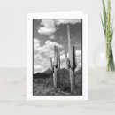 Pesquisar por cacti cartoes Arizona