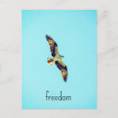 Pesquisar por arte do pássaro cartoes postais Céu