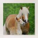 Pesquisar por foto do cavalo quebra cabecas Animal
