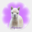 Pesquisar por alpaca adesivos Fazenda