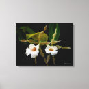 Pesquisar por híbrido impressão de canvas Florais