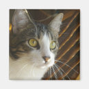 Pesquisar por siri imas Sírio