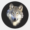 Pesquisar por lobo selvagem adesivos Animal
