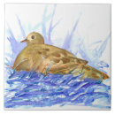 Pesquisar por ninho dos pássaros azulejos Para todos