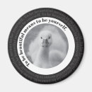 Pesquisar por ciganos imas Cisne