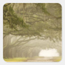 Pesquisar por joanne adesivos Árvore