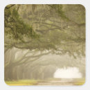 Pesquisar por joanne adesivos Geórgia